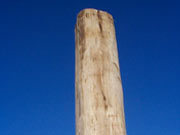 >African Hardwood Poles