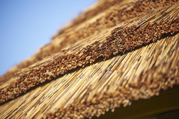 cape reed thatched roof tiles