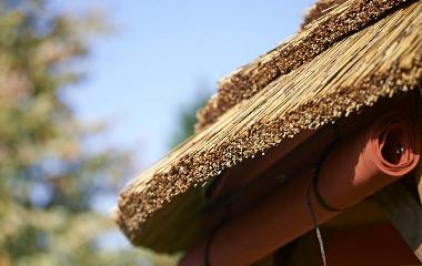 thatched garden structures