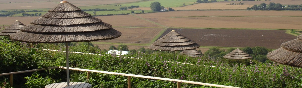 thatch umbrella