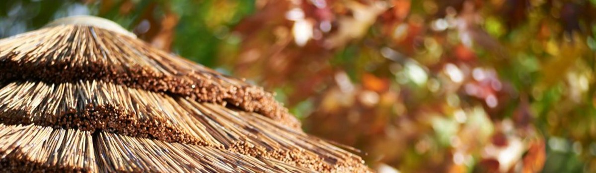 cape reed thatch tiles